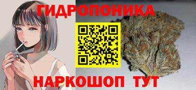 бошки Будённовск