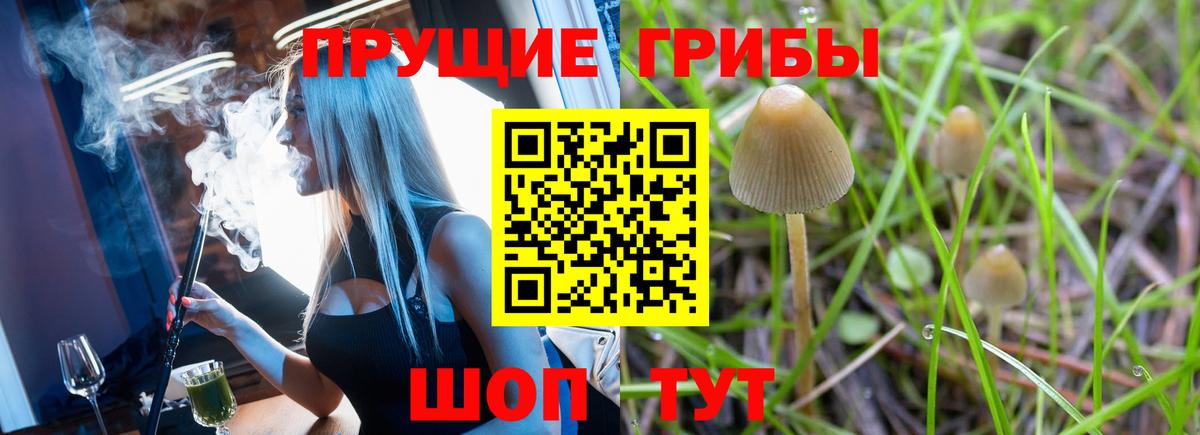 Псилоцибиновые грибы Magic Shrooms Красноуфимск